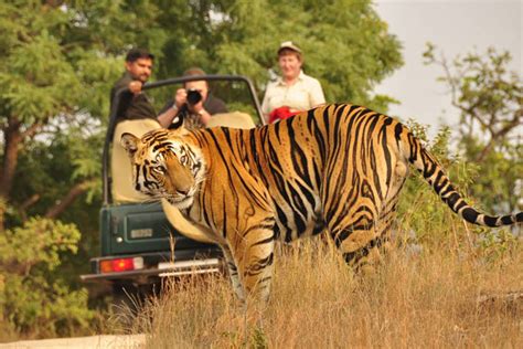 Exploring Tiger Capital Nagpur for Wildlife Photography Enthusiasts ...