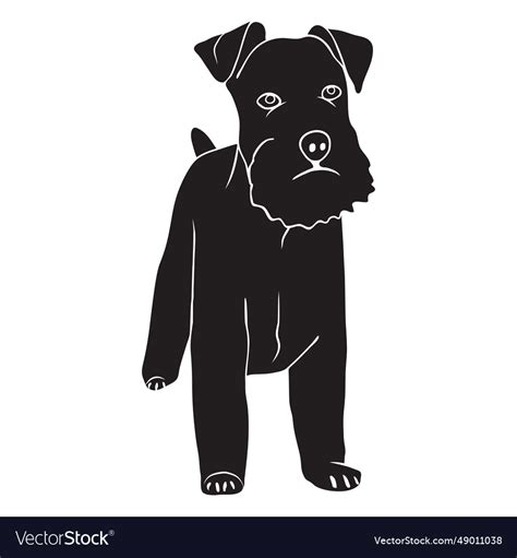 Standing schnauzer dog side black Royalty Free Vector Image