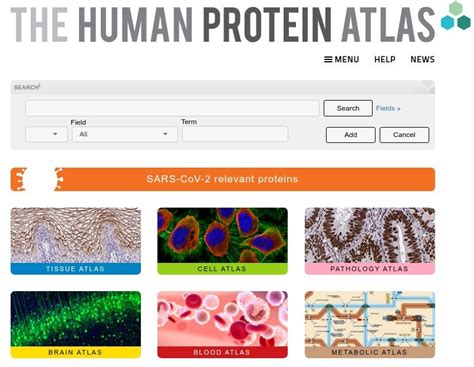 The Human Protein Atlas is What every Medical, Human Biology Students ...