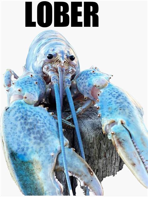 "Lober (Blue lobster meme)" Sticker for Sale by SeptoDesigns | Redbubble