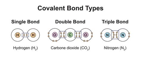 1+ Thousand Covalent Bond Royalty-Free Images, Stock Photos & Pictures | Shutterstock