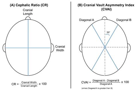 Diagnostics | Free Full-Text | Two-Dimensional Image-Based Screening Tool for Infants with ...