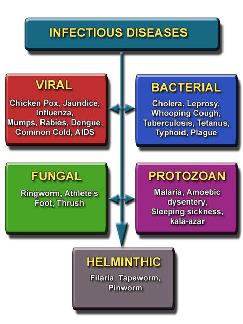 Comprehensive General Knowledge Guide to Diseases