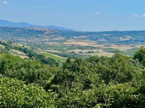 11 Interesting Things to do in Orvieto Italy You'll Love I Boutique Adventurer