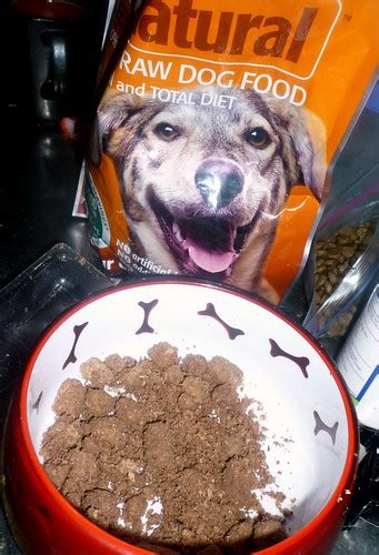 Trying out a new food: K9 NATURAL | Boogie's blog