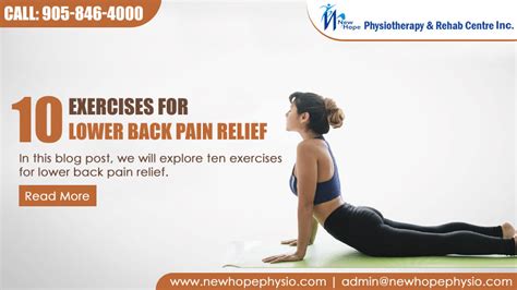 10 Best Exercises for Lower Back Pain Relief | New Hope Physio