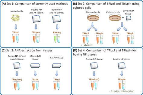 Figure 1 from Extraction of RNA from tough tissues with high proteoglycan content by cryosection ...