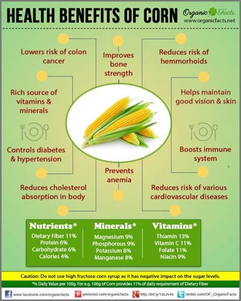 The 25+ best Health benefits of corn ideas on Pinterest | Vegetable ...