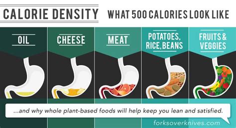 Calorie Density Approach to Nutrition and Weight Management | Forks ...