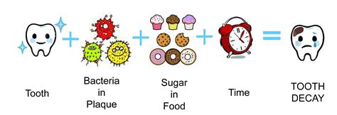 Tooth decay is a problem that affects a majority of the population