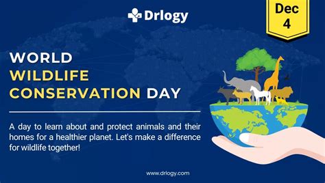 World Wildlife Conservation Day December 4, 2024 - Drlogy