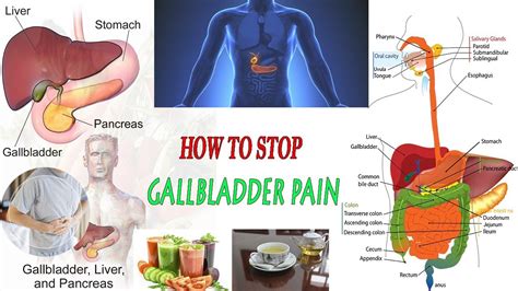 [DIAGRAM] Diagram Of Gallbladder Pain - MYDIAGRAM.ONLINE