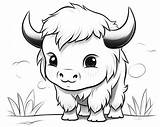 Bison Coloring Pages sketch template