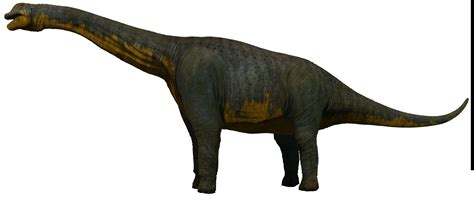 Paralititan - Prehistoric Monsters Wiki