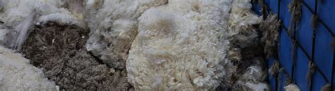 RWS wool demand - Mecardo