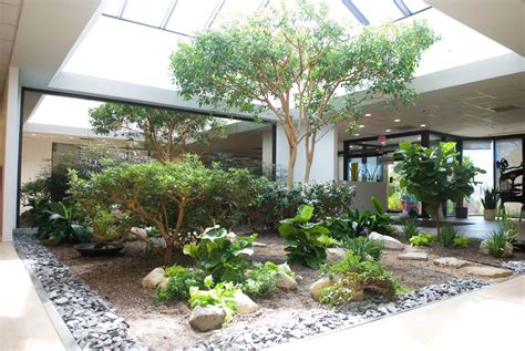 Interior Plant Services | Phillip's Interior Plants & Displays ...