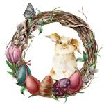 Easter Wreath Free Stock Photo - Public Domain Pictures