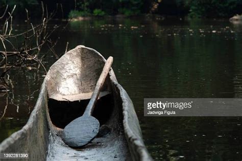 1,135 Liberia Rainforest Stock Photos, High-Res Pictures, and Images ...