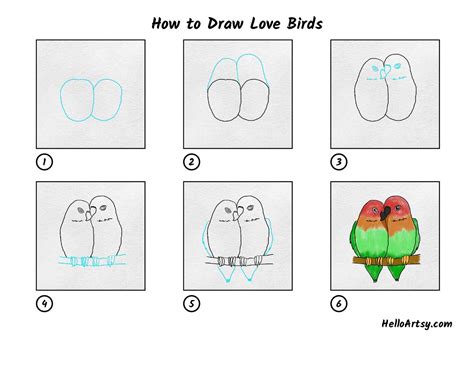 How to Draw Love Birds - HelloArtsy