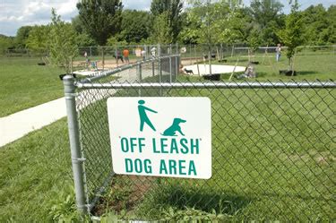 Keoki's Corner | Dog Park Safety