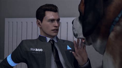 Sumo Meets Connor - Detroit: Become Human Photo (41486771) - Fanpop