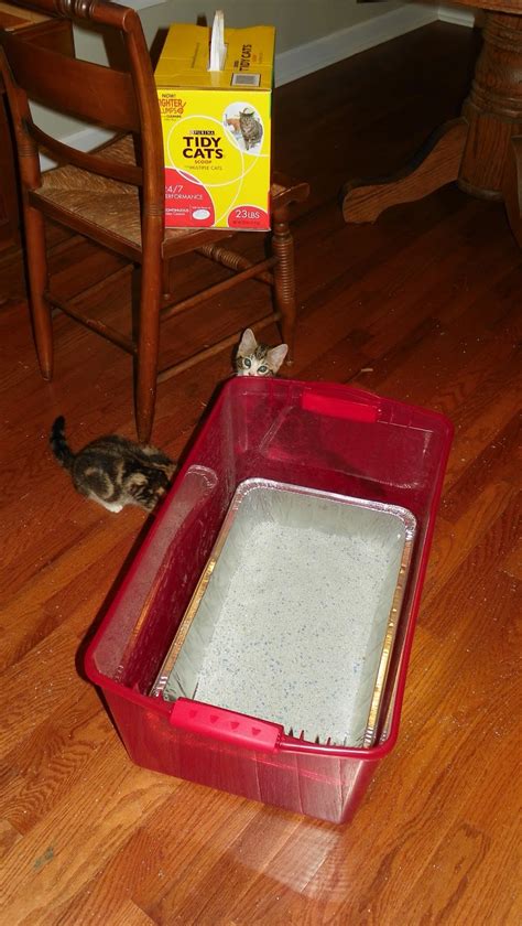 Diy Sifter Litter Box : Two Broke Bruces: DIY Litter Box / Swifter ...