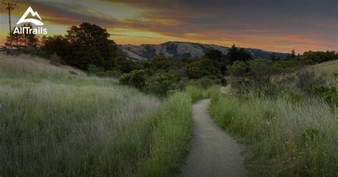 10 Best trails and hikes in La Honda | AllTrails