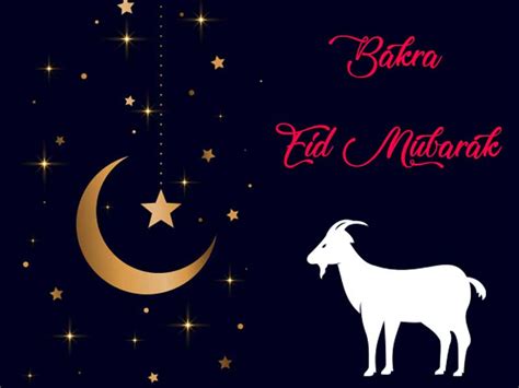 Bakra Eid 2024 - Eid al-Adha Qurbani