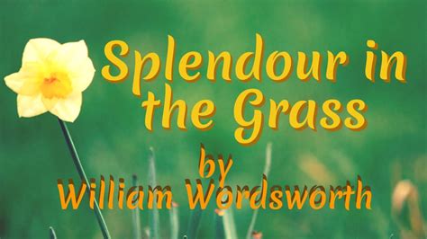 Splendour In The Grass Poem