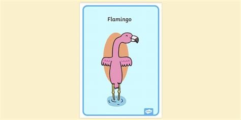 Flamingo Poster PDF | Twinkl Display Resources - Twinkl