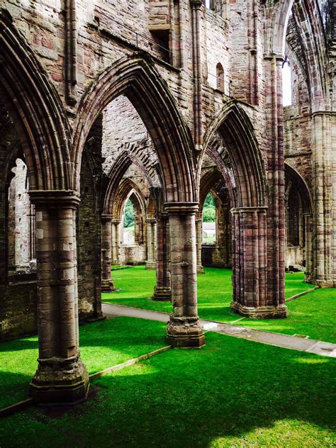 Tintern Abbey | Places to visit, Places to travel, Beautiful places