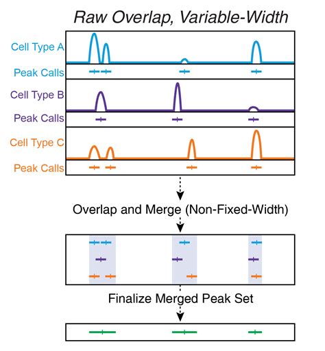 10.1 The Iterative Overlap Peak Merging Procedure | ArchR: Robust and ...