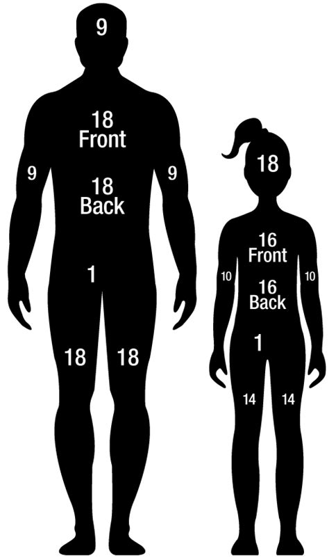 [DIAGRAM] 2013 Total Body Surface Diagram - MYDIAGRAM.ONLINE