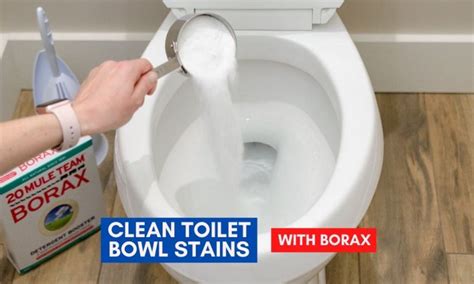 How To Clean Toilet Bowl Stains | 5 Quick And Easy Ways