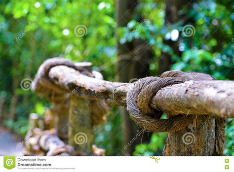 Wooden rail bridge stock photo. Image of tree, nature - 78483540