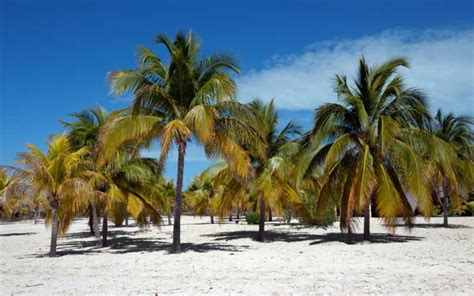 The Best Beaches in Cuba