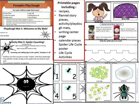 Preschool Spider Theme Resource