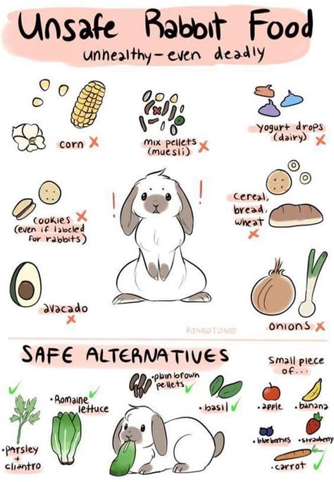 Unsafe foods that Rabbits/Bunnies cannot digest, and safe foods that bunnies/rabbits can eat ...