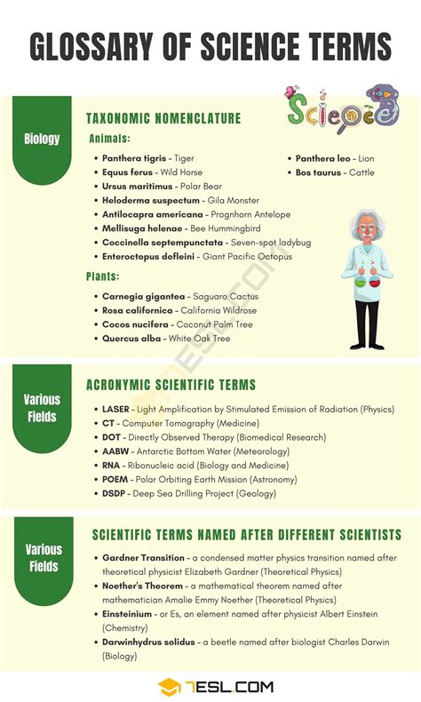 Science Terms | Science Words | Scientific Terminology • 7ESL