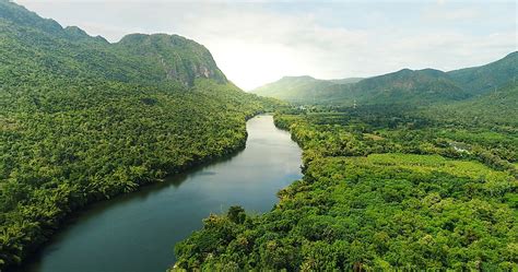 What Are The Three Main Types Of Forests Based On Latitutde? - WorldAtlas