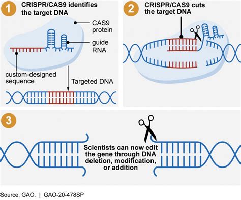 CRISPR-Cas9: The Revolutionary Gene Editing Technology That's Changing Medicine - futuresoftech.com