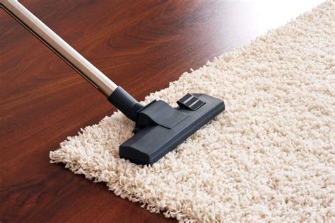 How to Clean a Sheepskin Rug - 6 Quick Tips