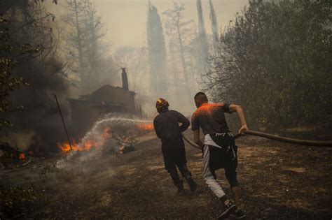 Thousands in Greece and Turkey flee wildfires that display the "reality ...