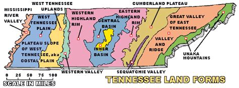 Tennessee Topography Map, TNGenWeb | Topography map, Tennessee map ...