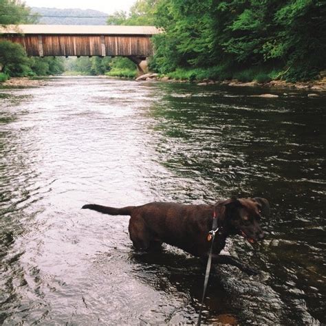 Roscoe, NY Map & Directions - MapQuest