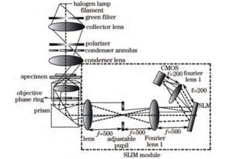 Experimental setup [17] . A lamp filament was projected onto a... | Download Scientific Diagram