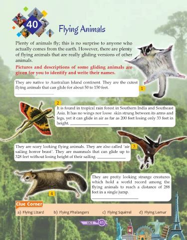 Air Animals With Names