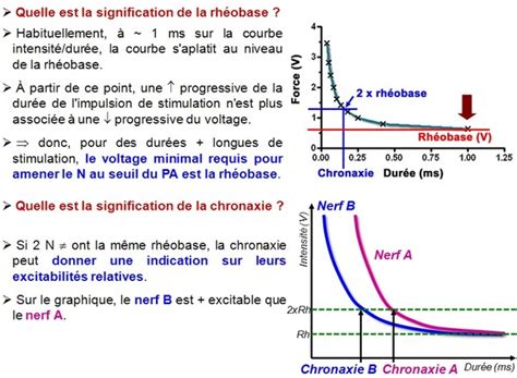 rhéobase - définition - C'est quoi