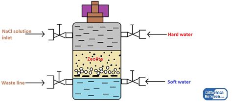 Difference Between Zeolite and Ion Exchange Process | Compare the Difference Between Similar Terms