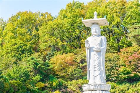 Free Photo | Modern south korea buddhism skyline